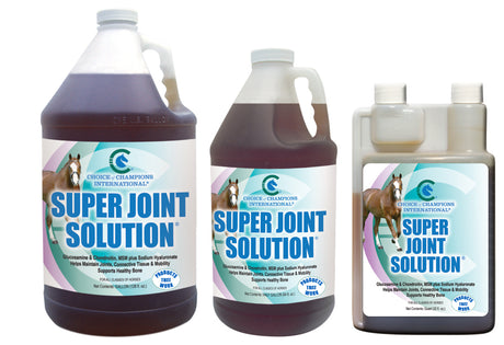 Equine joint health – SUPER JOINT SOLUTION from Choice of Champions