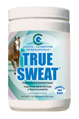 TRUE SWEAT (Horse)